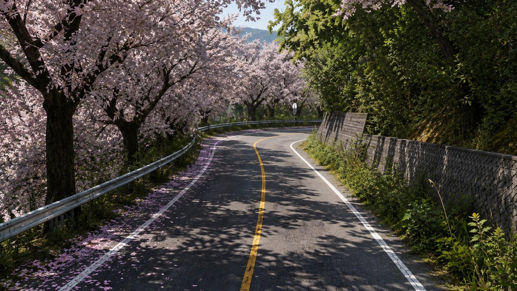 Mod Image